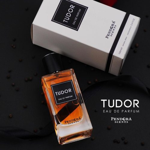 Tudor2 900x a6691834 401e 4d28 85dc d9f9f78d95b8